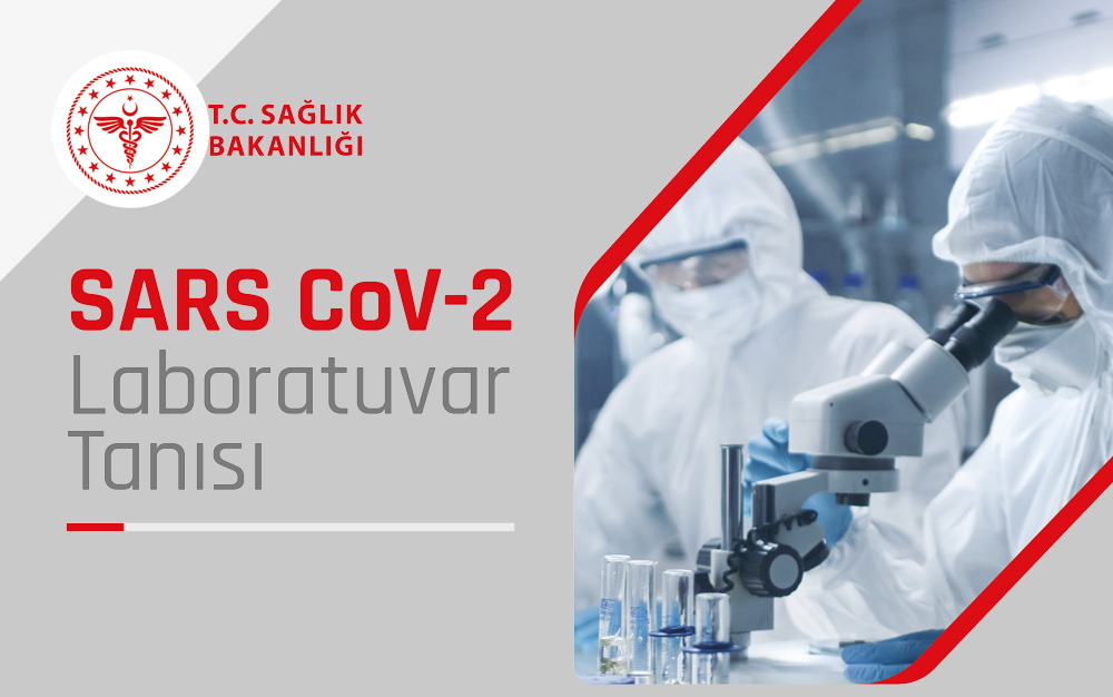 COVID-19 (Yeni Koronavirüs Hastalığı) Nedir?